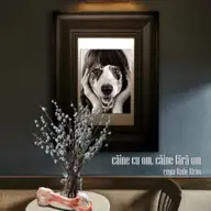 Invitatie la teatru