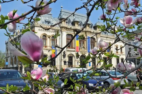 Primaria Craiova