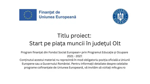 Egalitatea de șanse pe piața muncii: oportunități echitabile pentru femei și bărbați în județul Olt