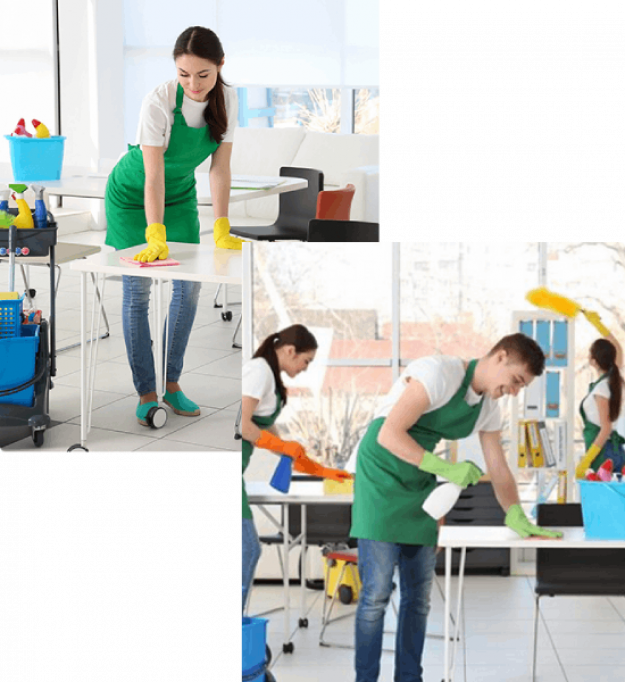 Expert Facility & Cleaning